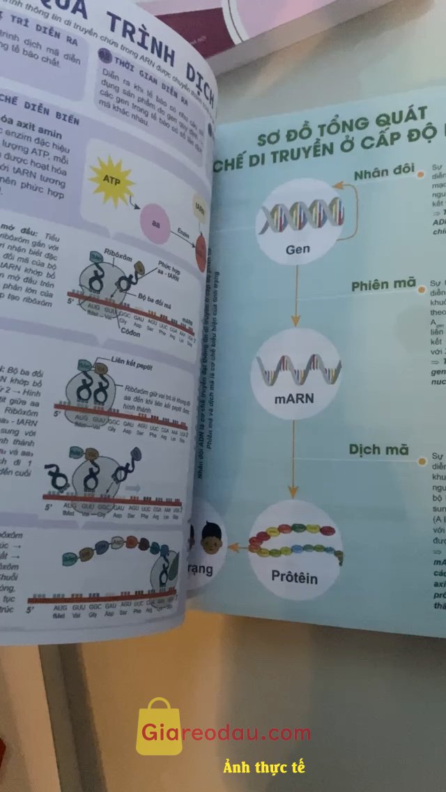 Giảm giá [Mã giảm 50%] Sách Combo Đột phá 8+ thi THPT Quốc gia môn Toán Văn Anh. Mình mua cho em nên thấy sách in đẹp ; đủ kiến thức không thiếu. 