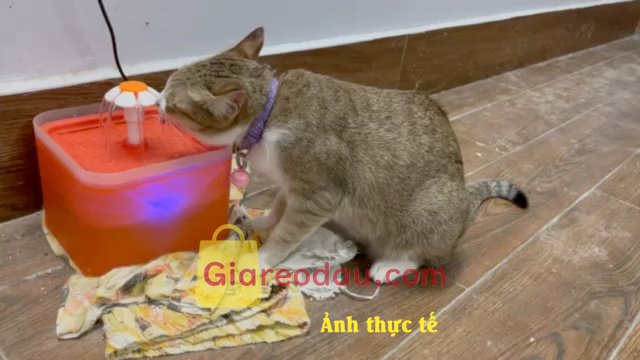 Giảm giá [Mã giảm 27%] Sách Garuda x Naga Tình Yêu Và Thù Hận. Đóng gói quá sơ sài, ko có nổi hộp đựng, chỉ gói nilon, sách nhận. 