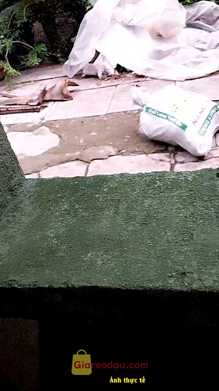 Giảm giá [Mã giảm 18%] Sách NXB Trẻ Mùa Hè Không Tên (Nguyễn Nhật Ánh) Tặng Kèm Bookmark -Tranh Màu Tặng thêm Lót Ly Cho Bản Bìa Cứng. Nên mua nha mọi ng ơii tr oi đẹp quá huhuuu xịn quá mua tặng bạnn. 