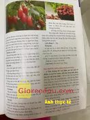Giảm giá [Mã giảm 5%] Sách Tập Tô Mẫu Giáo: Chữ Số (Dành Cho 4 - 5 Tuổi) - Tập 4. Đóng gói rất kỹ luôn, sách mới không bị cong vênh xứng đáng 5. 